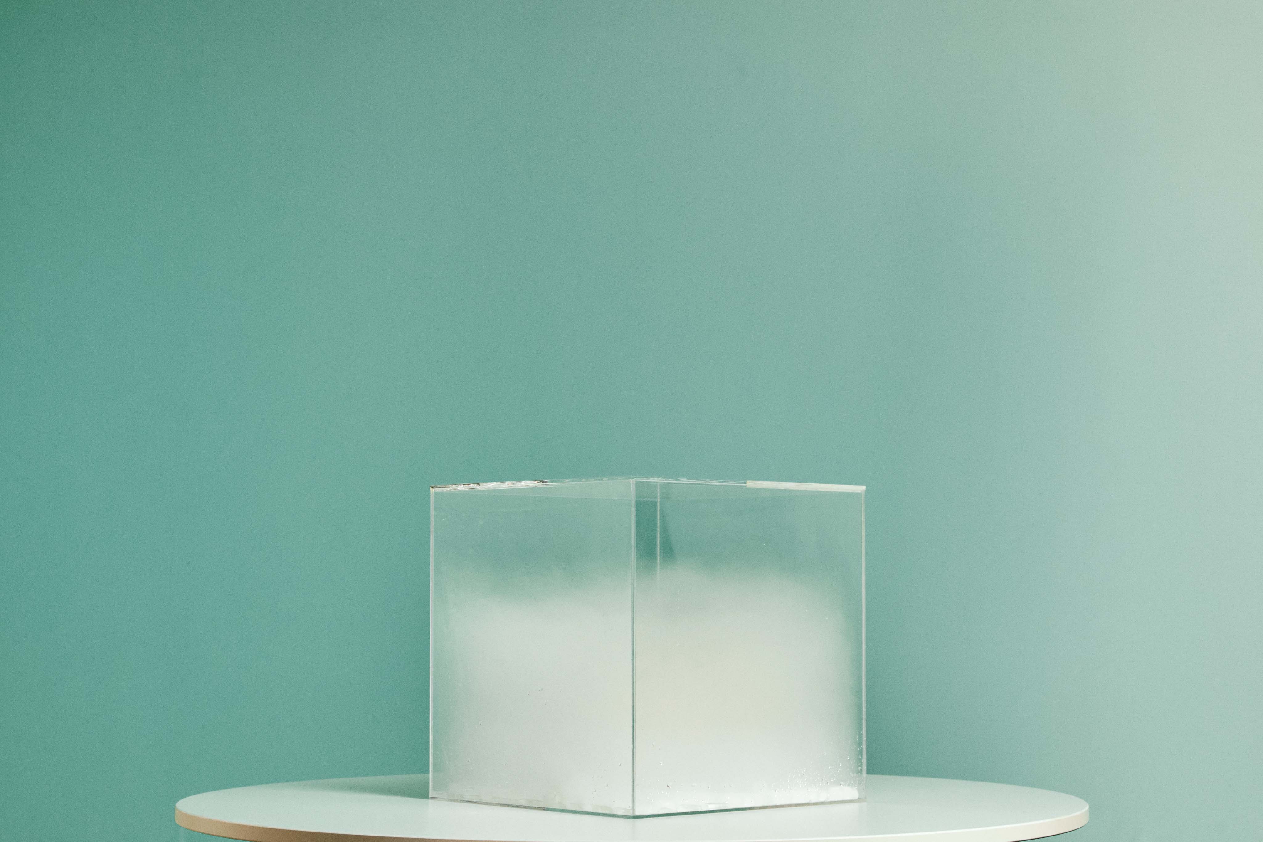What Makes Green+ Carbon Neutral