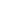 light bulb white icon