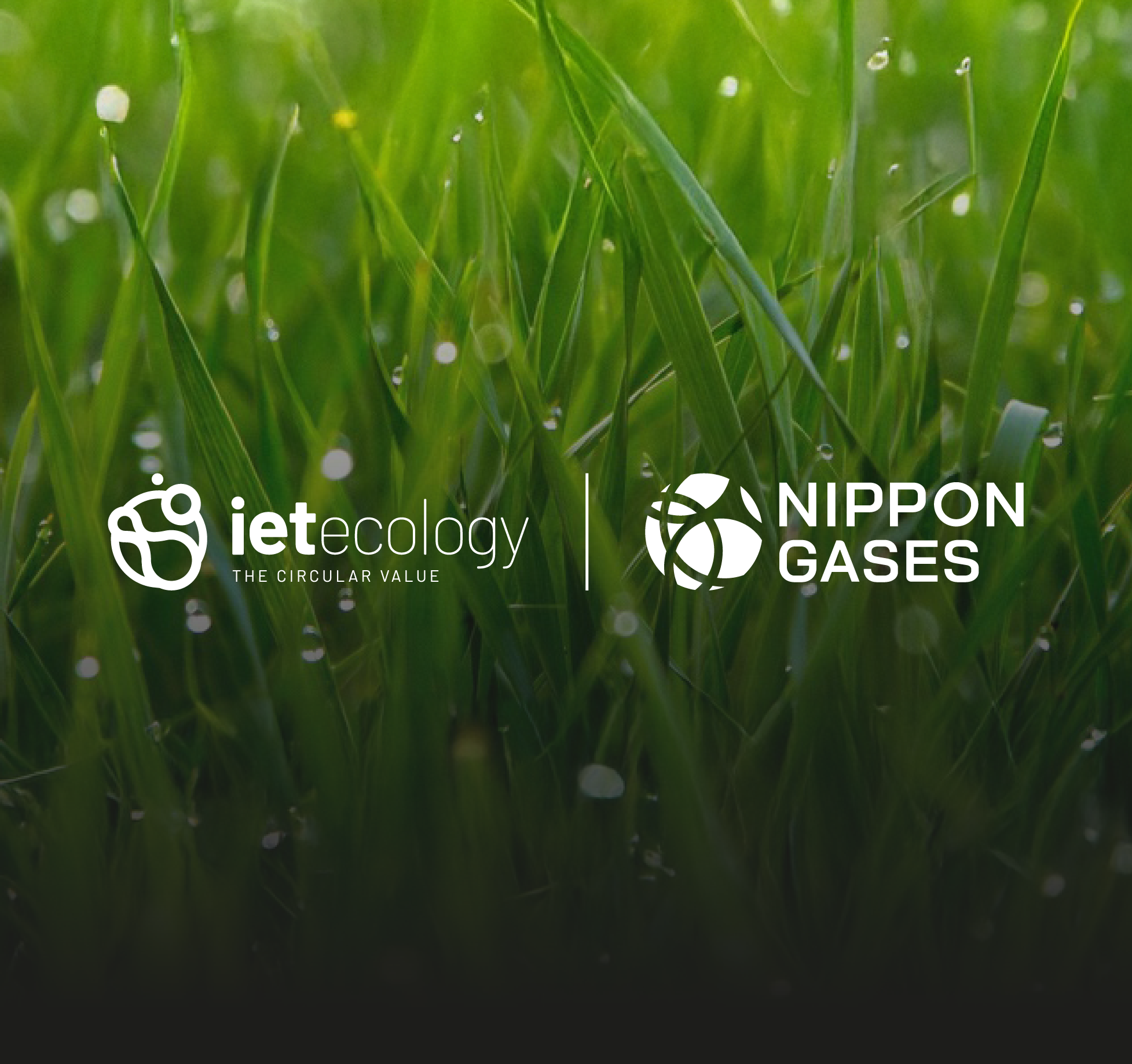 Extending Decarbonisation Solutions