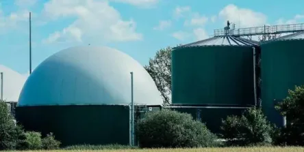 Biometano: actor principal de la economía circular y descarbonización