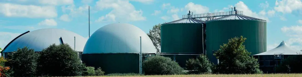 Biometano: actor principal de la economía circular y descarbonización