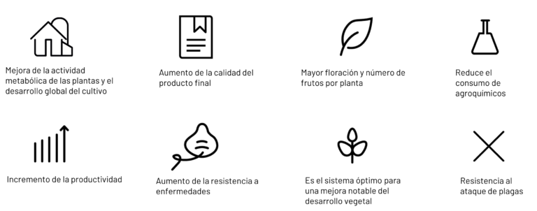 Biometano