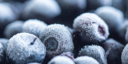 How Dry Ice Helps Keep Food Fresh and Safe