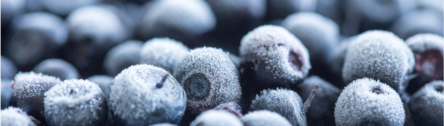 How Dry Ice Helps Keep Food Fresh and Safe
