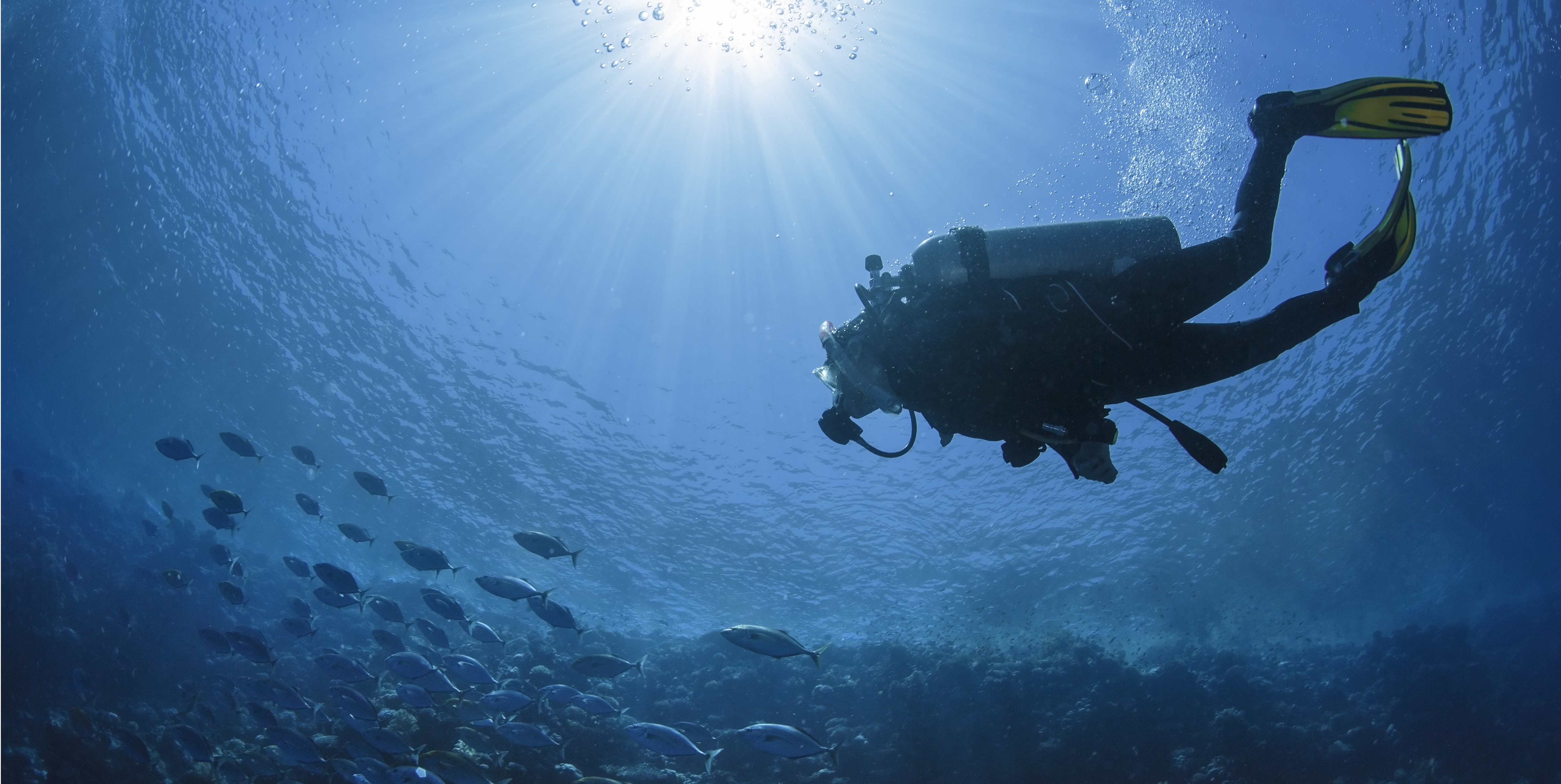 Industrial Diving Gases: What They Are Used For and How They Support Underwater Operations