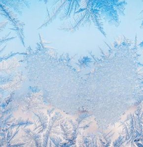 Hydrocarbons for refrigeration