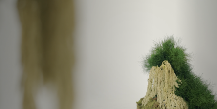 Nippon Sanso Holdings Corporation Lancia il Nuovo Sito Carbon Neutral World