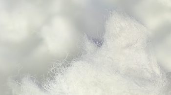 Lavaggio della cellulosa delignificata
