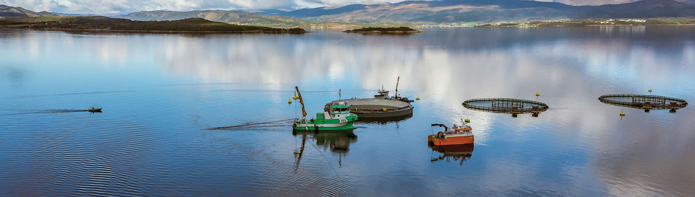 Oksygenering i lukket merd